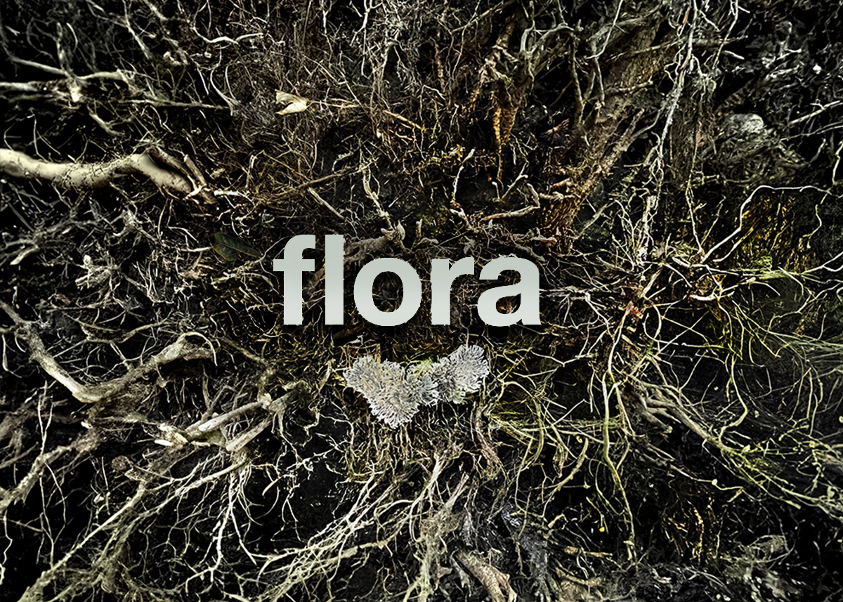 flora
