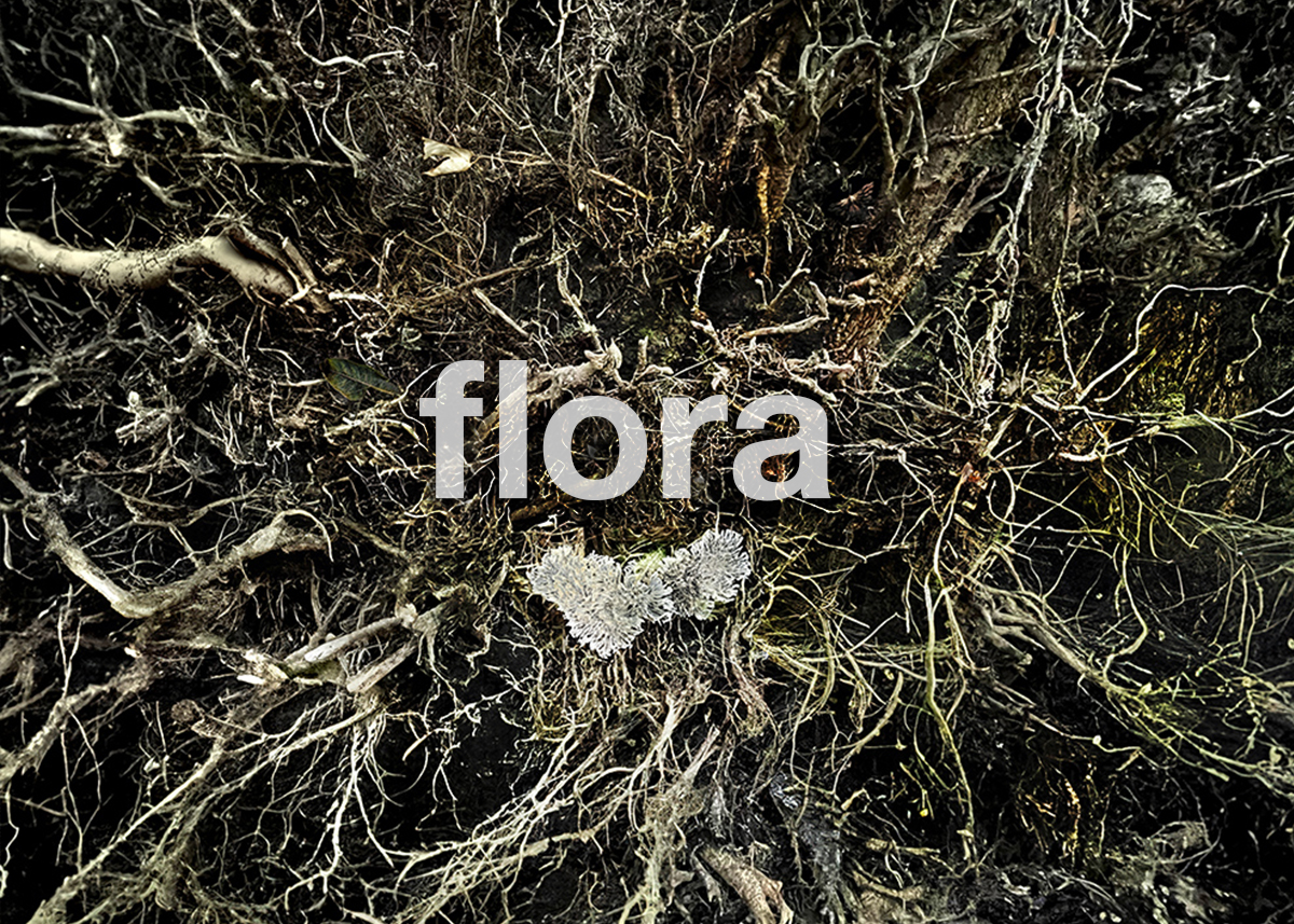 flora